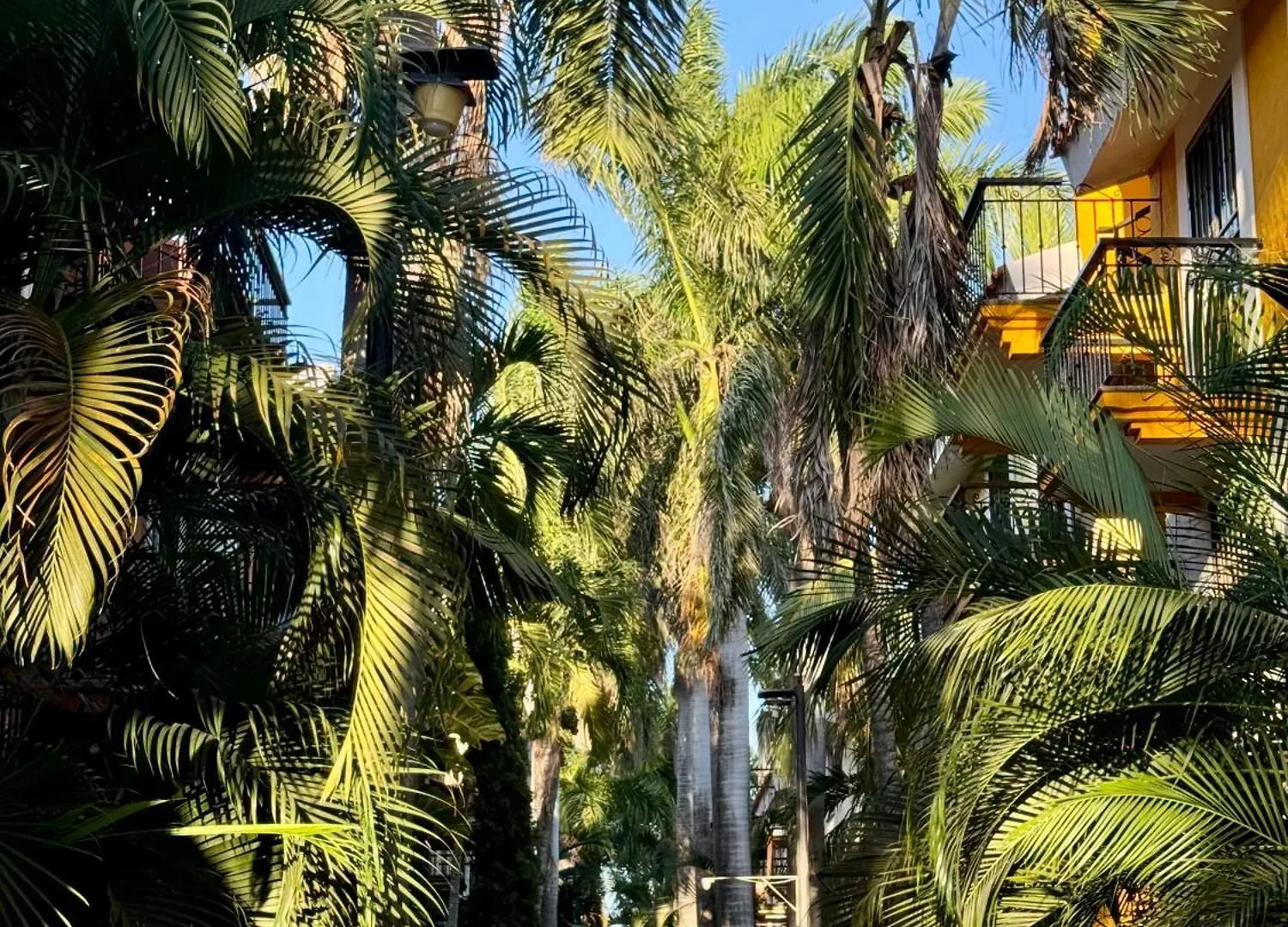 Apartmán Acogedor Departamento Cerca De La Playa Mazatlán